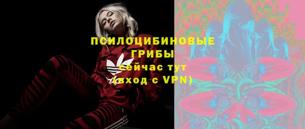 амф Арсеньев