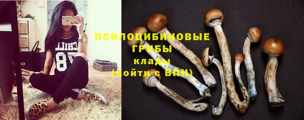 амф Арсеньев