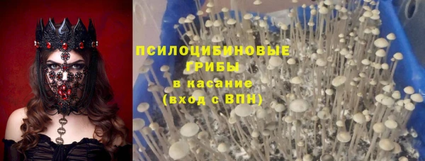 соль ск Балахна