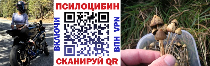 Псилоцибиновые грибы Magic Shrooms  OMG маркетплейс  Изобильный 